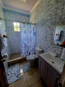 BelmontSpring View Apartment的配有马桶、淋浴和水槽的浴室