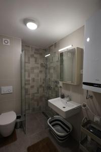 Koupelna v ubytování Vidra apartman