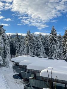 a row of snow covered buildings in front of a snow covered forest at Maisonette Mountain View - Euphoria Resort in Borovets