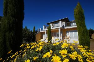 Zahrada ubytování Beachside Villas Motel