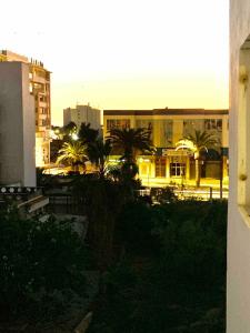 a view of a city with palm trees and buildings at Downtown apartment in Agadir