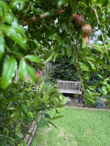 a white bench sitting in the middle of a garden at Jacaranda Cottage 5 min by Train or 7 min drive to Parramatta City in Wentworthville