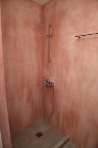 a bathroom with a shower with a shower head at Camara Homes in Andros