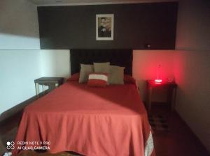 1 dormitorio con cama con manta roja y luces en DEPARTAMENTOS SUMAJ JALLP`A, en San Rafael