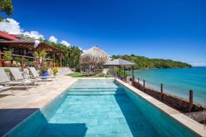 ル・ディアマンにあるLa Sirene du Diamant, villa de luxe sur la plage,18 personnesの海が見えるプール