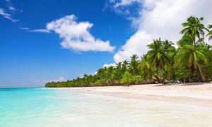 a beach with palm trees and turquoise water at Habitaciones Casa Tinina in Boca Chica
