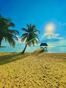 Příroda nedaleko chaty