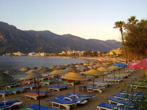 Naturlandskabet i nærheden af lejlighedshotellet