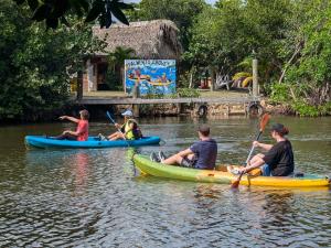 Hosté ubytování Palmento Grove Garifuna Eco-Cultural & Healing Institute
