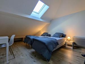 a bedroom with two beds and a skylight at Appartement cosy, 2 chambres et parking privé, proche des Vosges - FR-1-589-780 in Saint-Michel-sur-Meurthe