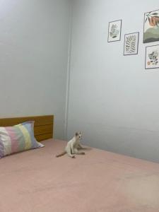 Galería fotográfica de Homestay tay en Xã Trảng Bôm