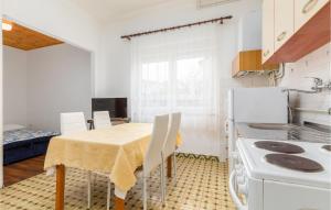 Kuchyňa alebo kuchynka v ubytovaní Apartment Vocarska Ii