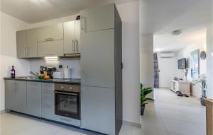 Virtuve vai virtuves zona naktsmītnē Stunning Apartment In Liznjan With Wifi