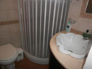a bathroom with a sink and a shower and a toilet at Apartment Maria in Enna