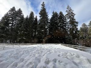 a deck covered in snow with trees in the background at SnowLine Flora in Borovets