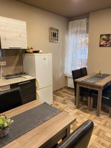 Kuchyňa alebo kuchynka v ubytovaní Aranyfürt Apartmanház