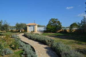 ein Garten mit einer Reihe von Büschen neben einem Gebäude in der Unterkunft Villa Tranquility, Private Villa, 40 km from Athens, Oropos, Greece in Skála Oropoú