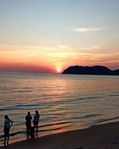 Naturlandskabet i nærheden af lejligheden