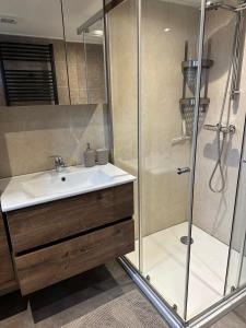 a bathroom with a sink and a shower at Vakantiehuis “Het Zeepaard” in Voorthuizen
