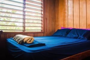 Gallery image of The Retreat at Finca Solana, Corozal, Belize in Corozal