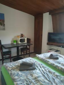 Postel nebo postele na pokoji v ubytování Penzion RONY