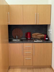 a kitchen with wooden cabinets and a sink at Maisonette Mountain View - Euphoria Resort in Borovets