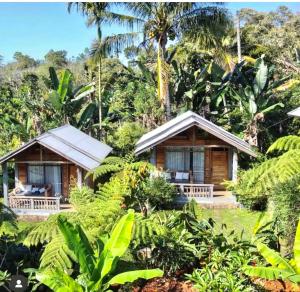 een resort met twee bungalows in de jungle bij The Geckos Homestay in Kelimutu
