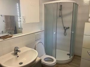 a bathroom with a shower and a toilet and a sink at Apartmán Mašovice u Znojma in Mašovice