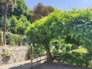 Zahrada ubytování Villa Antonella, app. Vittoria