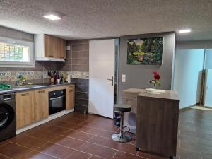 a kitchen with a sink and a counter in it at Hébergement Privé à Larnod in Larnod