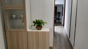 Imagen de la galería de Casa Cecilia, en Los Silos