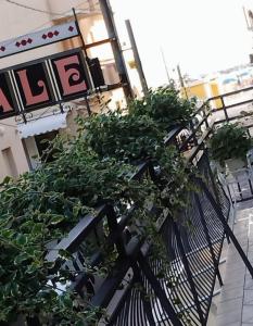 Gallery image of Hotel Ducale in Bellaria-Igea Marina