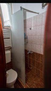 a bathroom with a shower stall and a toilet at Zara Central Apartments in Arad