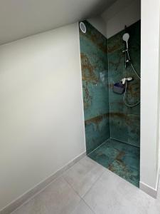 une salle de bain avec une douche avec un mur dans l'établissement Apartament w sosnowym lesie, à Międzywodzie 22 autres photos