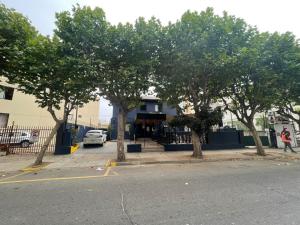 a group of trees on the side of a street at VOY Hostales - 4 Norte in Viña del Mar