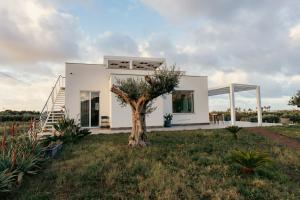 una casa bianca con un albero nel cortile di Martina's Vineyard - villa a Marsala