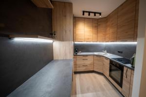 a kitchen with wooden cabinets and a sink at Airport Lounge in M R Stefanik