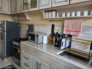 a kitchen with a counter with a stove and a microwave at D & C Homes in Eldoret +10 photos