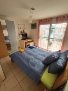 a bedroom with a large bed with blue sheets and a window at Casa Diana Ticino in Cugnasco