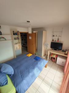 Postel nebo postele na pokoji v ubytování Casa Diana Ticino