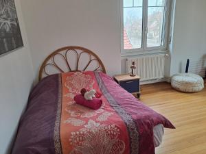 Gallery image of Maison de ville 1933 in Haguenau