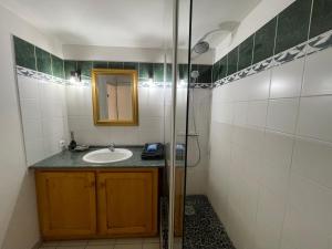 un bagno con lavandino e doccia di La Ferme de Belbouys a Soturac Altre 56 foto