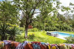 a garden with a pool and a tree and a couch at La Fernandiere, Historic Home, Garden and Pool in Saint-Georges-sur-Cher