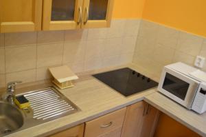 a kitchen counter with a sink and a microwave at Apartment Sučany in Sučany