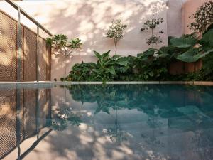 Bazén v ubytování Domus Blanc Boutique Hotel nebo v jeho okolí