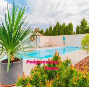 斯蒂格纳Sea You Stegna的游泳池旁的盆栽植物