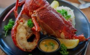 a plate of food with lobster and rice and sauce at Korhaansnest in Vredenburg +5 photos
