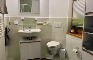 een kleine badkamer met een wastafel en een toilet bij Spreequartier in Malschwitz +14 foto's
