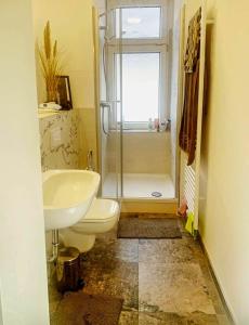 a bathroom with a toilet and a sink and a shower at eigene Bad ruhig Öko Zentrum Zimmer Leipzig in Leipzig