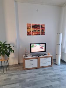TV a/nebo společenská místnost v ubytování Kleine Oase